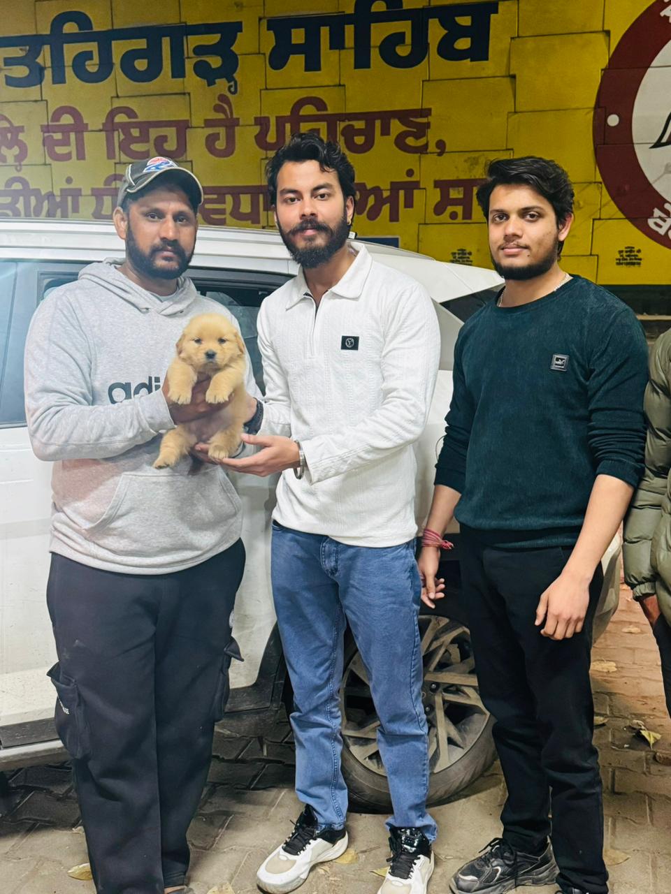 Labrador puppy delivered to happy customer in Punjab