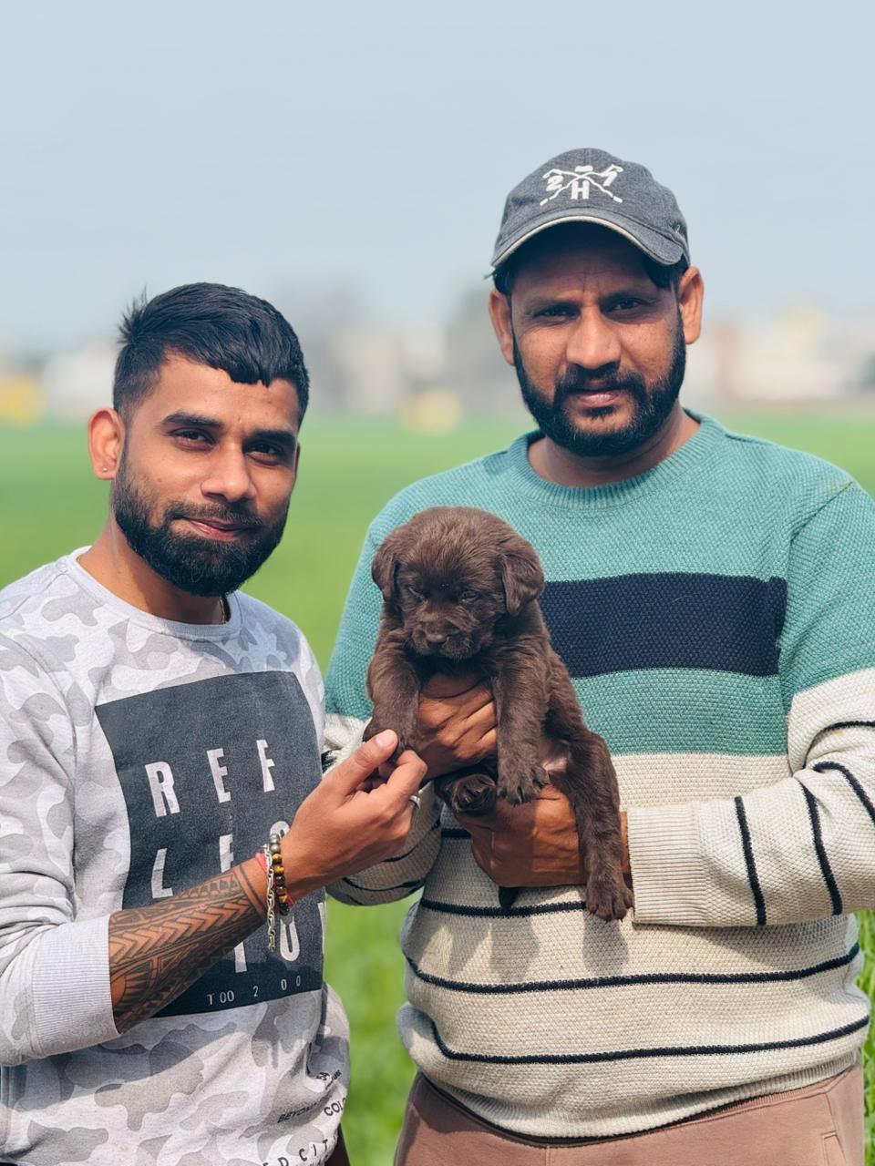 Customer review photo - healthy puppy from Kharoud Kennel Punjab