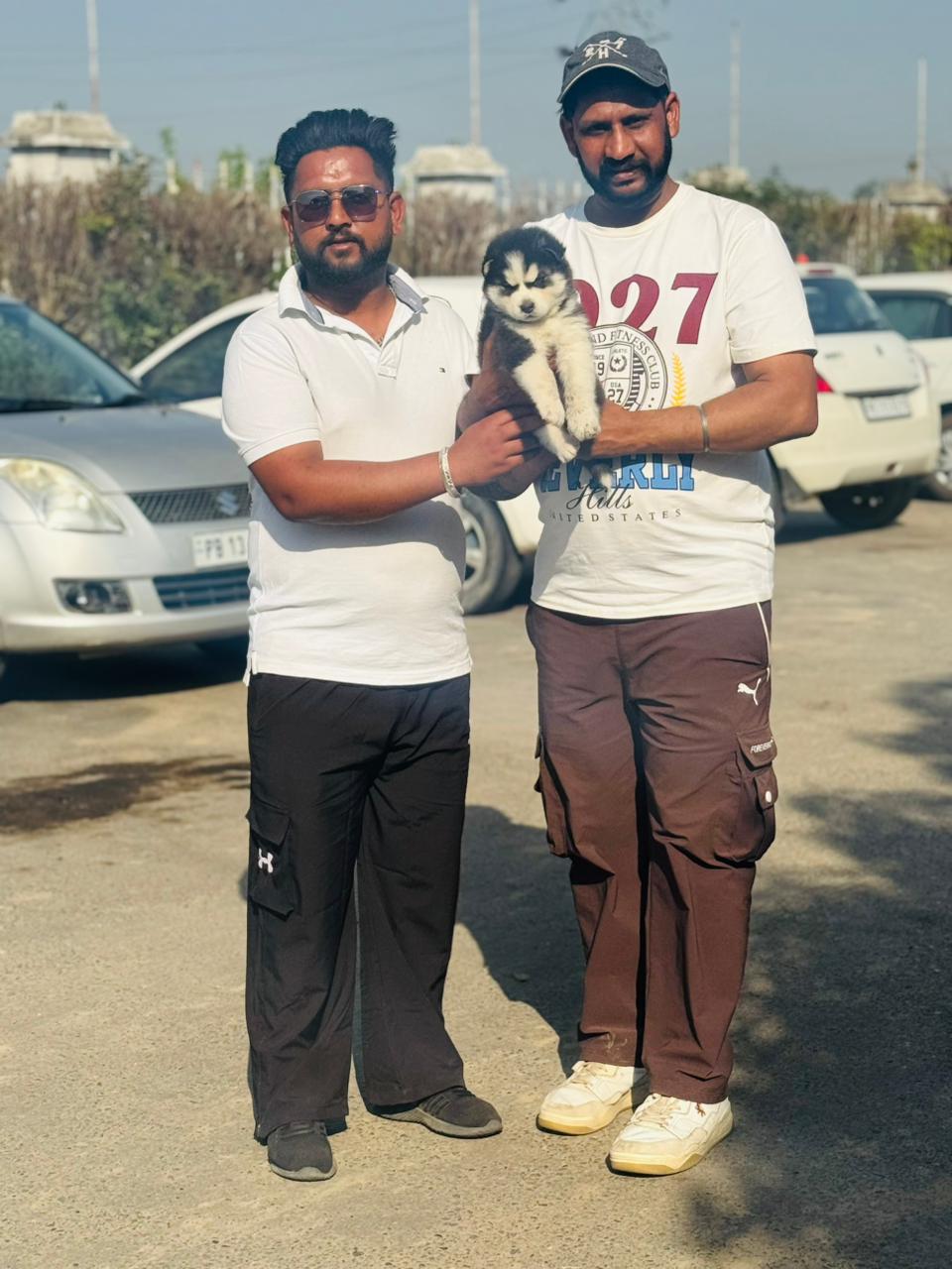 Husky puppy delivered to family in Mohali by Kharoud Kennel