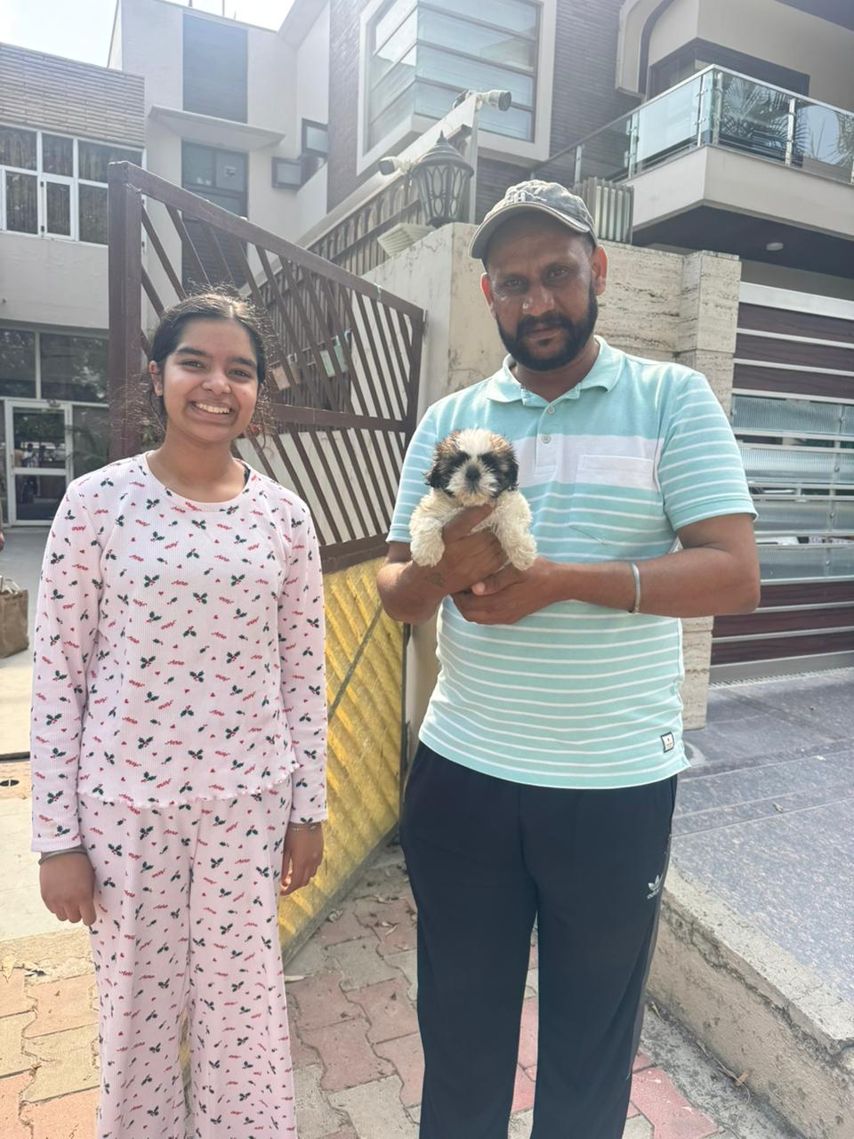 Recent puppy delivery to Chandigarh by Kharoud Kennel