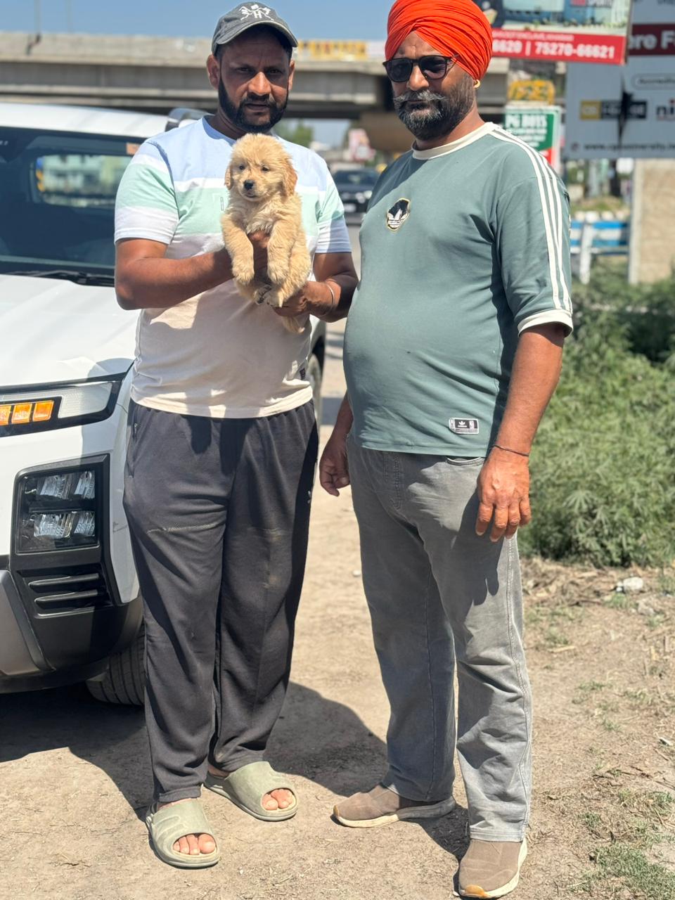 Puppy delivery in Panchkula by Kharoud Kennel