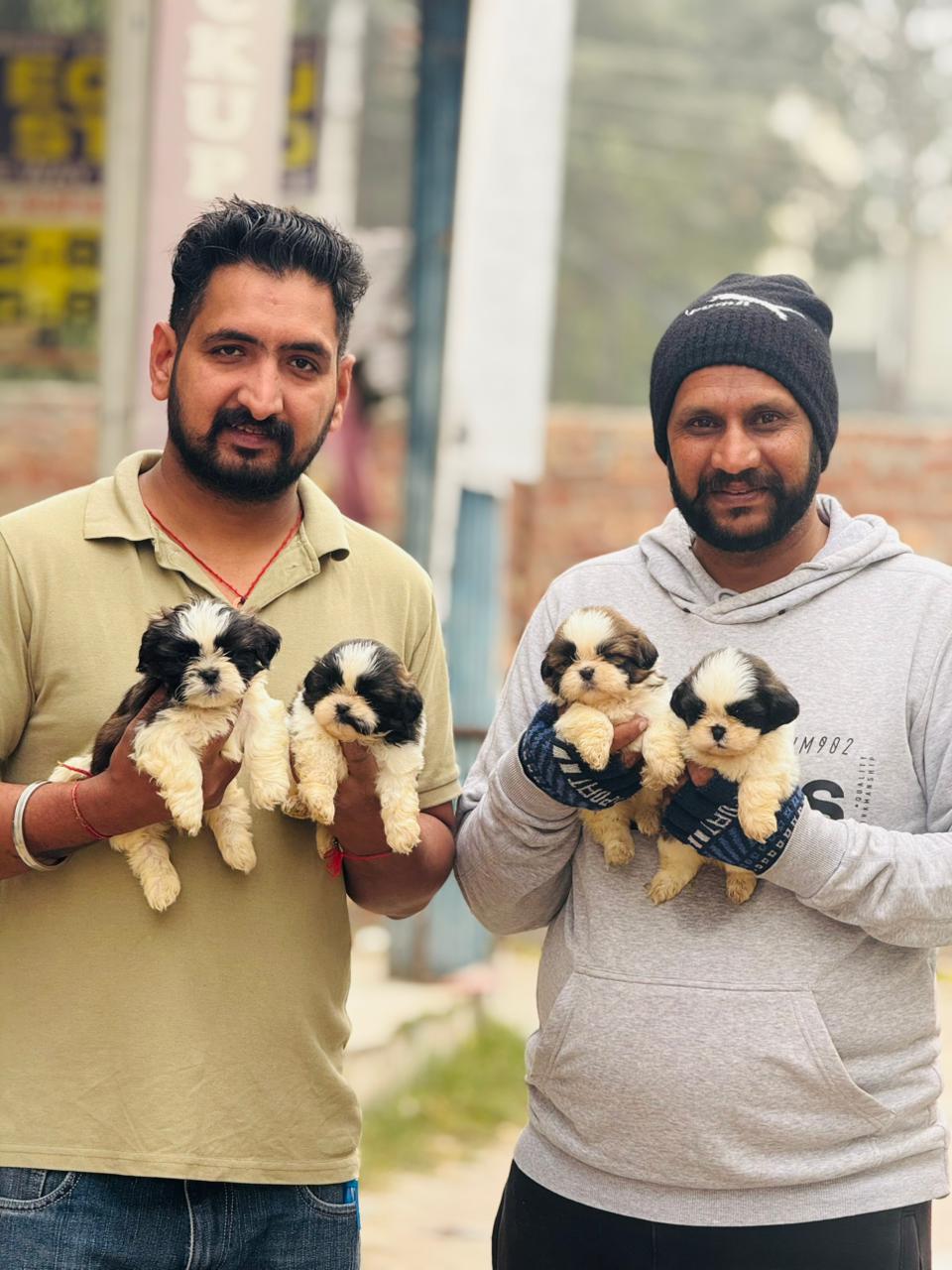 New pet owner with purebred puppy in Chandigarh
