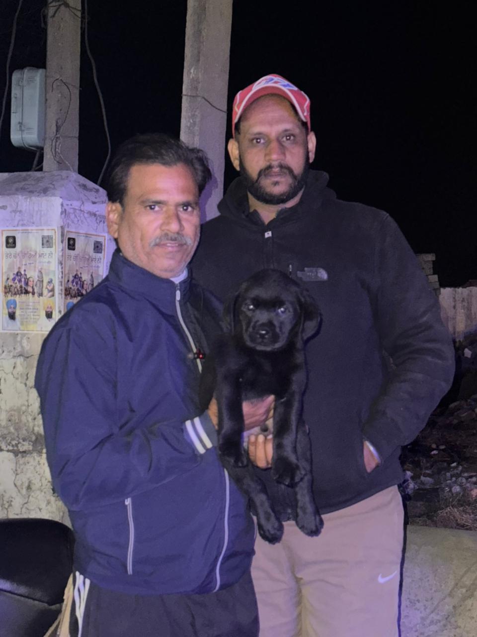 German Shepherd puppy with happy owner in Patiala