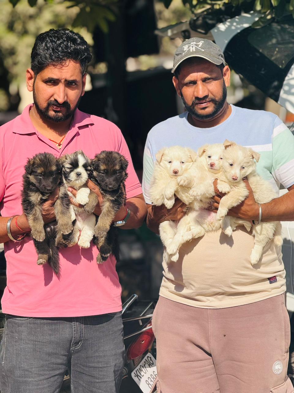 Happy family welcoming new puppy in Punjab