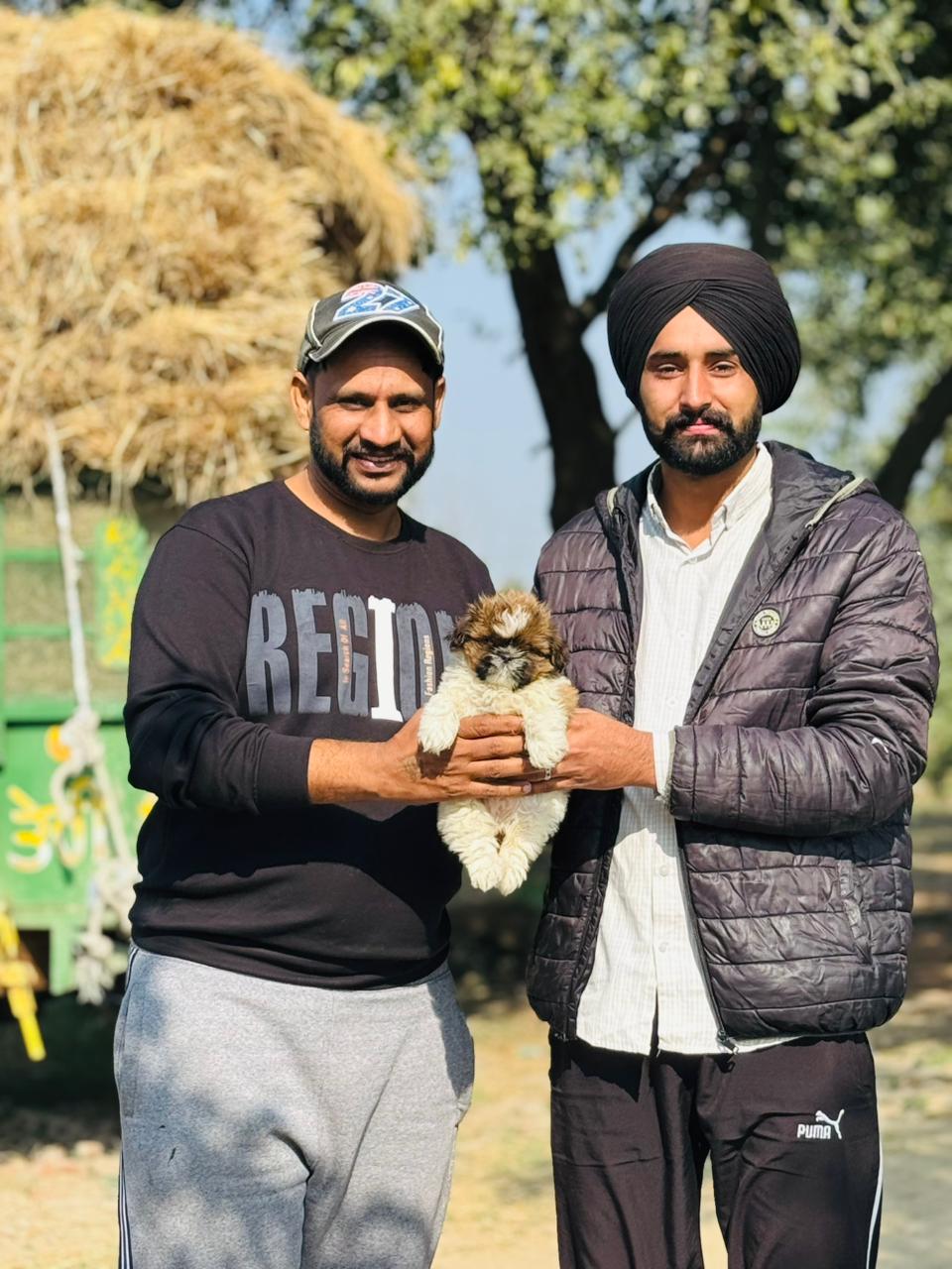 Puppy with happy family in Patiala