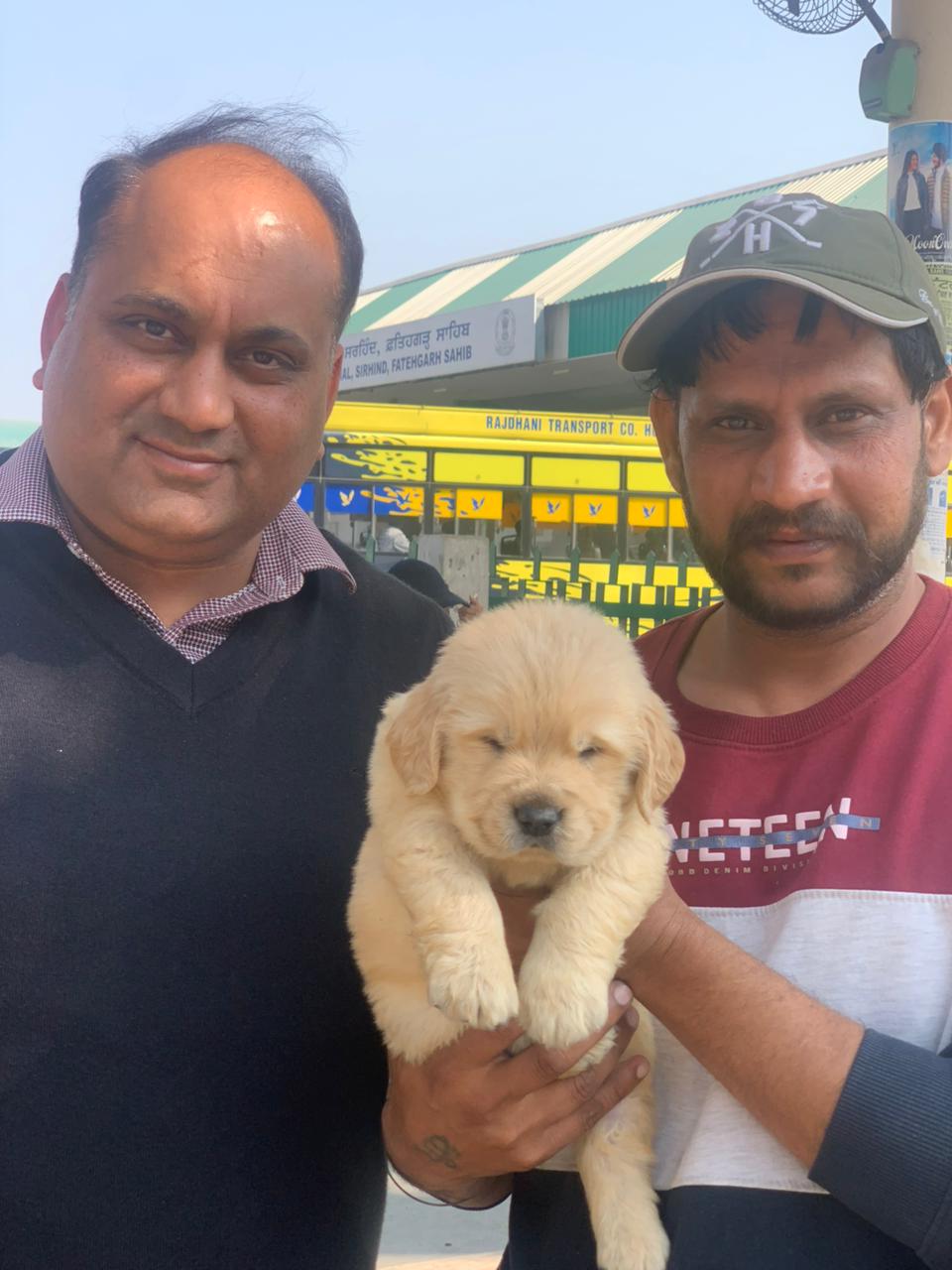 Purebred puppy with owner in Ludhiana
