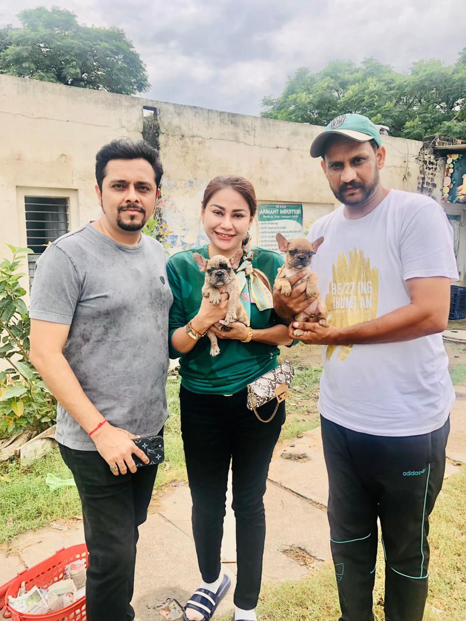 Puppy delivery in Panchkula by Kharoud Kennel